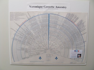 Fan Chart